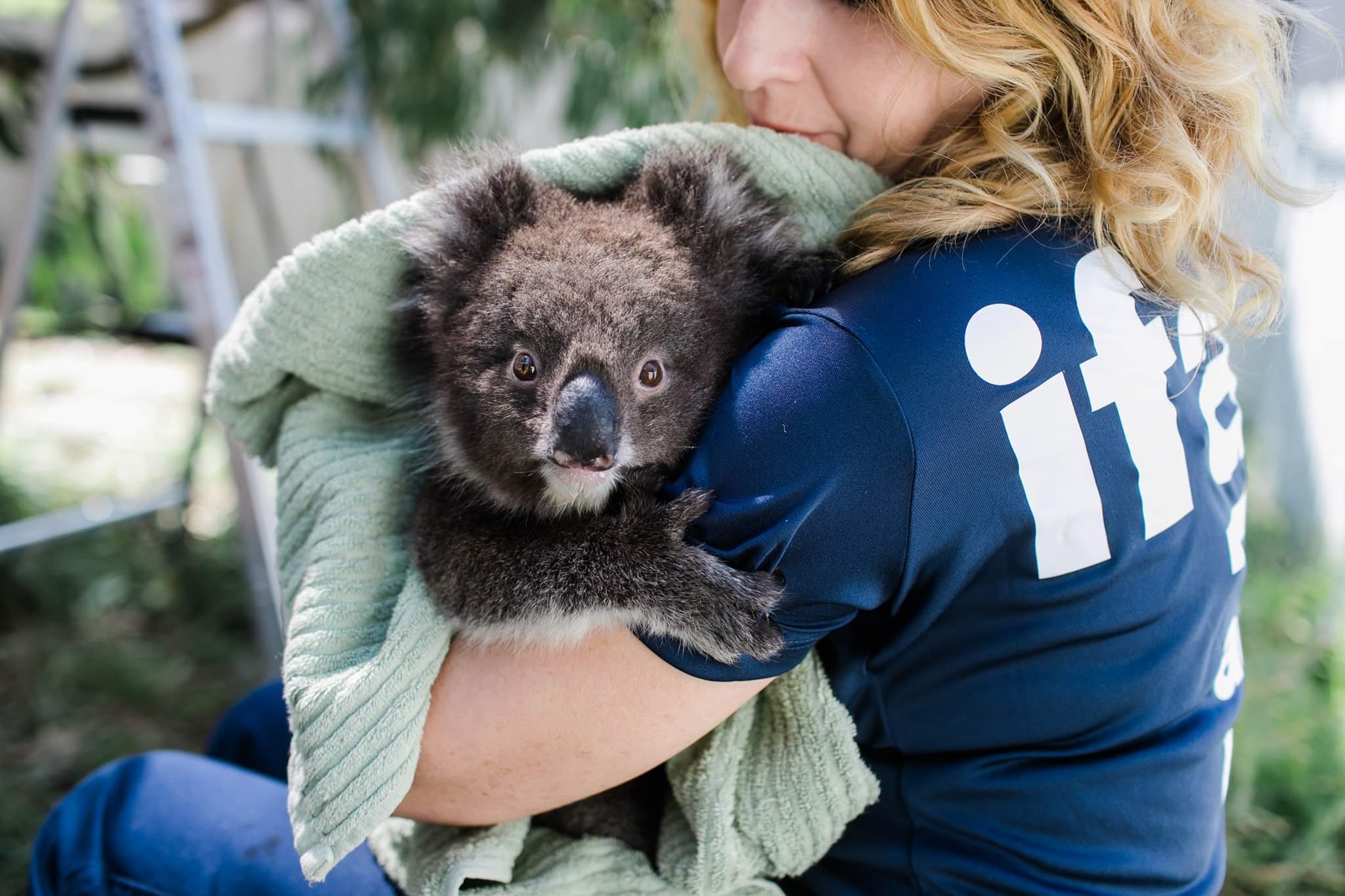 Working With Ifaw To Help Fund Pioneering And Innovative Ways To Help All Species Flourish
